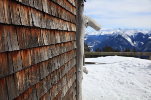 Cost of Cedar Siding Repair in Columbia