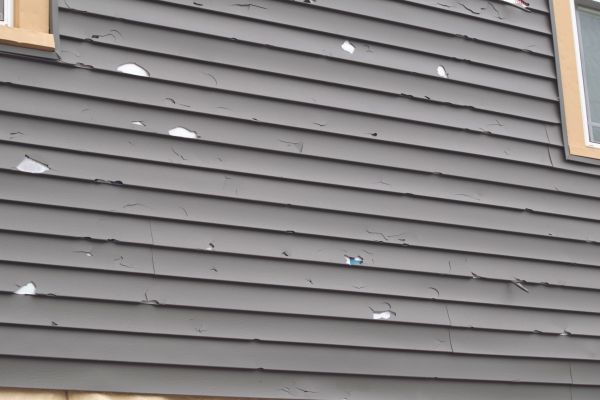 Cost of Damaged Siding Replacement in Columbia