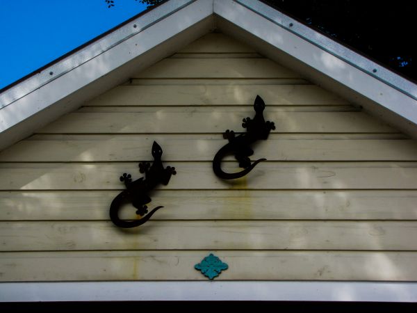 Cost of Shiplap Siding Installation in Columbia
